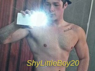 ShyLittleBoy20