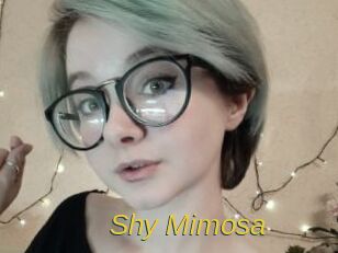 Shy_Mimosa