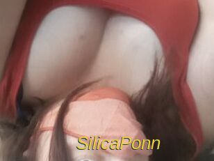 SilicaPonn