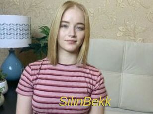 SilinBekk