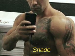 Snade