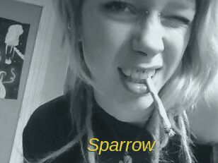 Sparrow