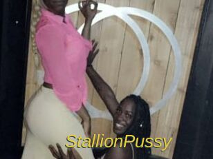 StallionPussy