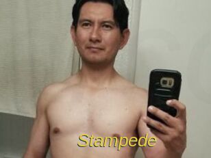 Stampede