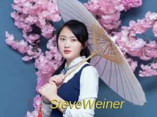 SteveWeiner Archive DVD ORG