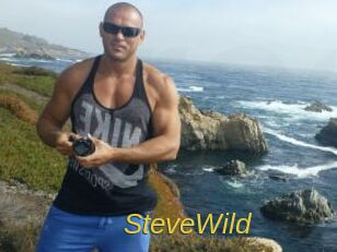 Steve_Wild
