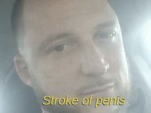 Stroke_of_penis