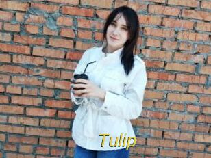 Tulip