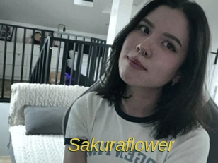 Sakuraflower