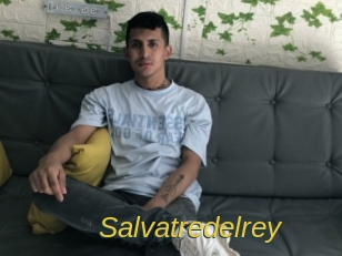 salvatredelrey Archive DVD ORG