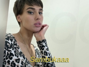 Sambukaaa