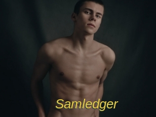 Samledger