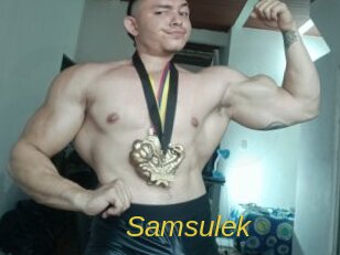 Samsulek