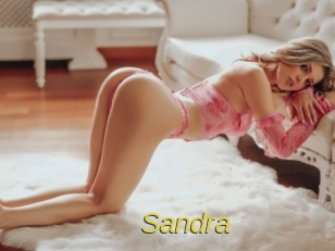 sandra Archive DVD ORG