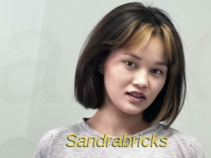 Sandrabricks