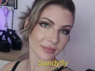 Sandyfly