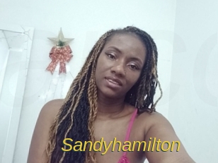 sandyhamilton Archive DVD ORG