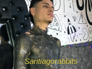 Santiagorabbits