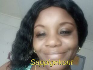 sappigekont Archive DVD ORG