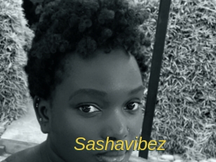 sashavibez Archive DVD ORG
