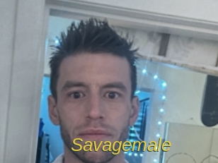 savagemale Archive DVD ORG