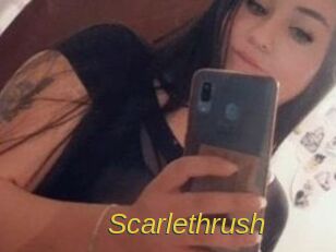Scarlethrush