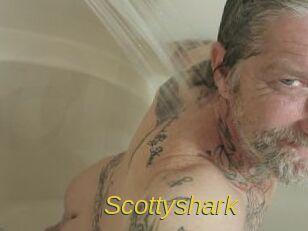 Scottyshark