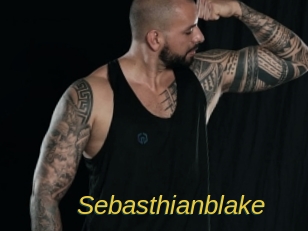 sebasthianblake Archive DVD ORG