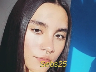 sebs25 Archive DVD ORG
