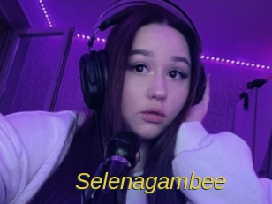 Selenagambee