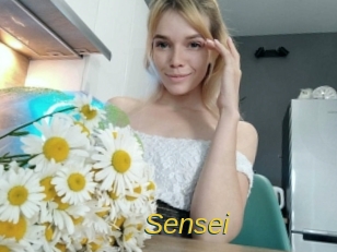 sensei Archive DVD ORG