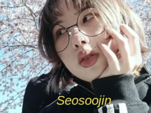 Seosoojin