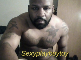 sexyplayboytoy Archive DVD ORG