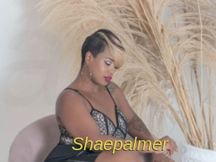 shaepalmer Archive DVD ORG