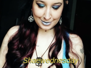 shaewednesday Archive DVD ORG