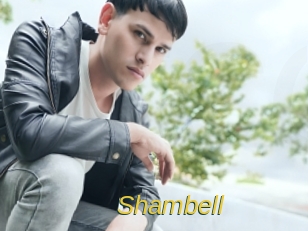 shambell Archive DVD ORG