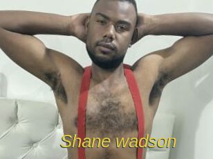 Shane_wadson