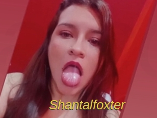 Shantalfoxter
