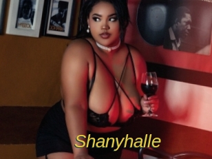Shanyhalle
