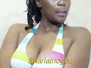 sharlainogbu Archive DVD ORG