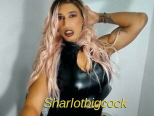 Sharlotbigcock