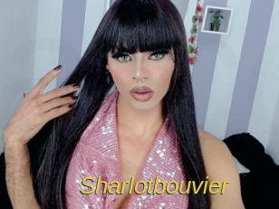 Sharlotbouvier