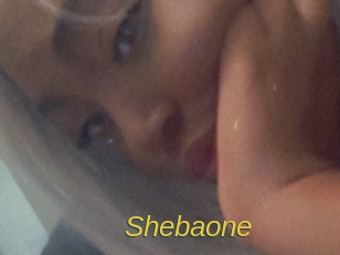 shebaone Archive DVD ORG