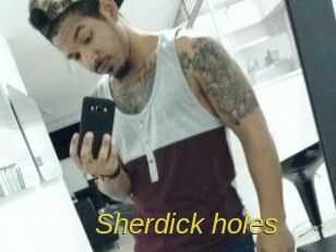 Sherdick_holes