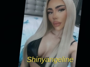 shinyangeline Archive DVD ORG