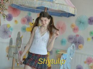 Shytulip