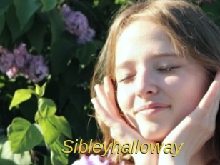 Sibleyhalloway