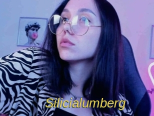 Silicialumberg