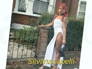 silvanacapelli Archive DVD ORG