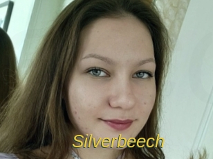 Silverbeech